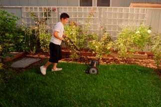 Pasos para un mejor jardín