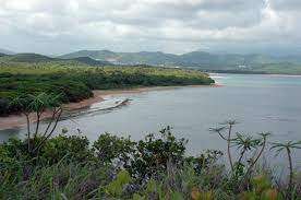 Secretario del DRNA cierra negocios en el Corredor