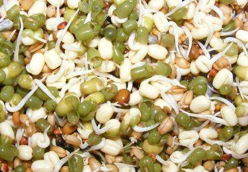 Tendencia hacia la dieta cruda