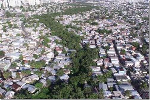 Dragado rehabilitaría 730 cuerdas en el Caño
