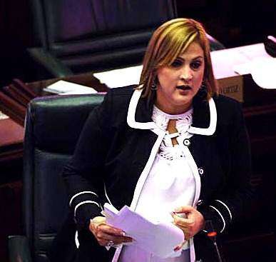 Cámara prepara guillotina para profesionales