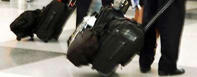 Viajaba con 40 víboras en la maleta