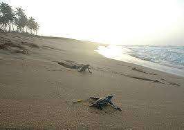 Agencia federal defiende tierras del CEN