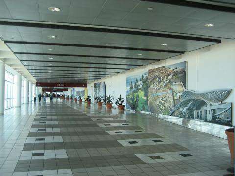 Incautan marihuana en el LMM