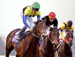 Orejitas hípicas: Dosañeras importadas estelarizan