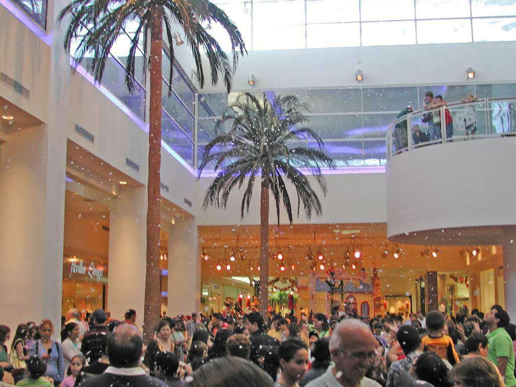 Artesanos ocupan Plaza