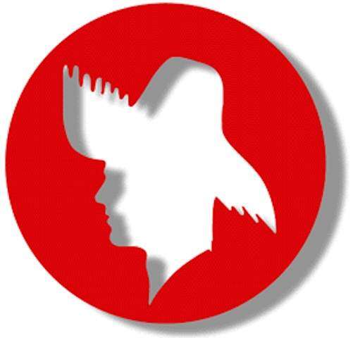 Jóvenes PPD eligen presidente y acogen grupo PNP