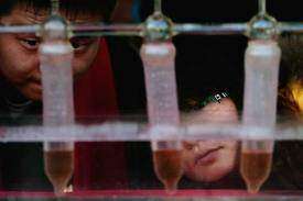 Hallan talón de Aquiles del VIH