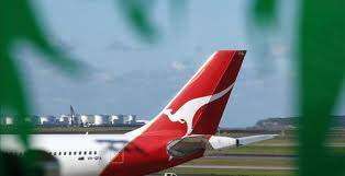 Hallan ratas en interior de un avión