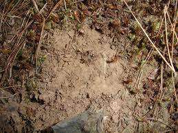 Cierran la PR-1 por derrumbe