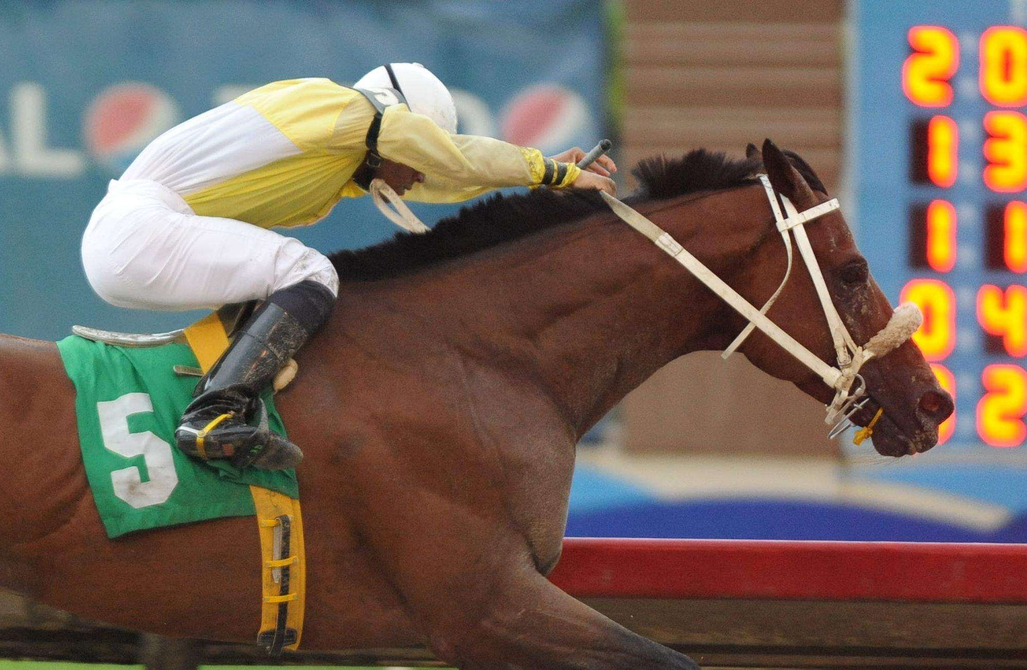 Vuela Primer Querubín en el Barbosa Memorial
