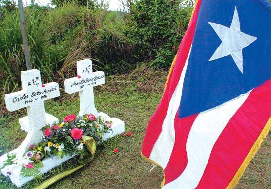 Figueroa Vivas no se arrepiente por Maravilla