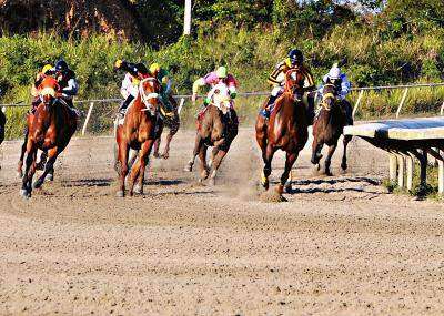 Orejitas hípicas sábado: velocidad en la segunda