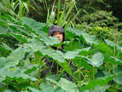 Huyen los GI Joe de Utuado