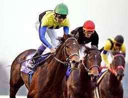 Orejitas hípicas miércoles: 35 ejemplares en acción