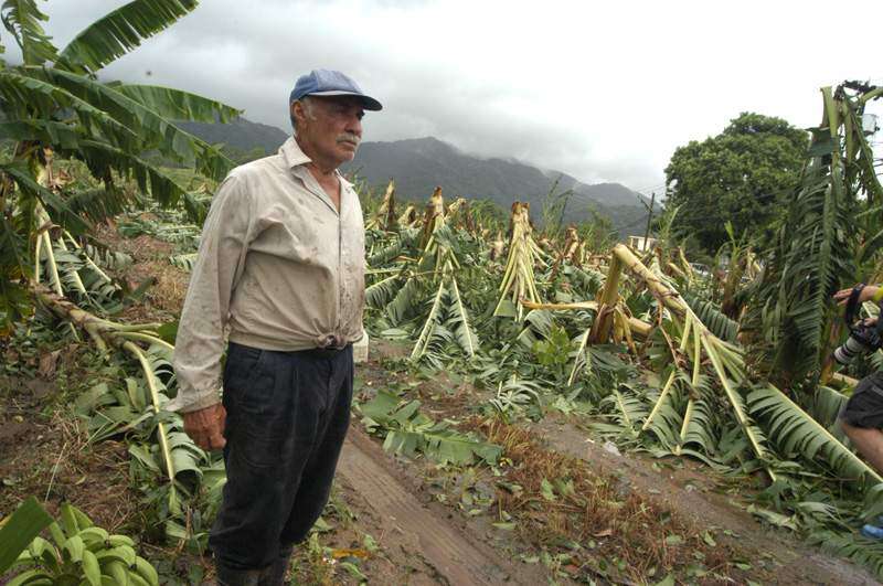 Más de $20 millones las pérdidas agrícolas