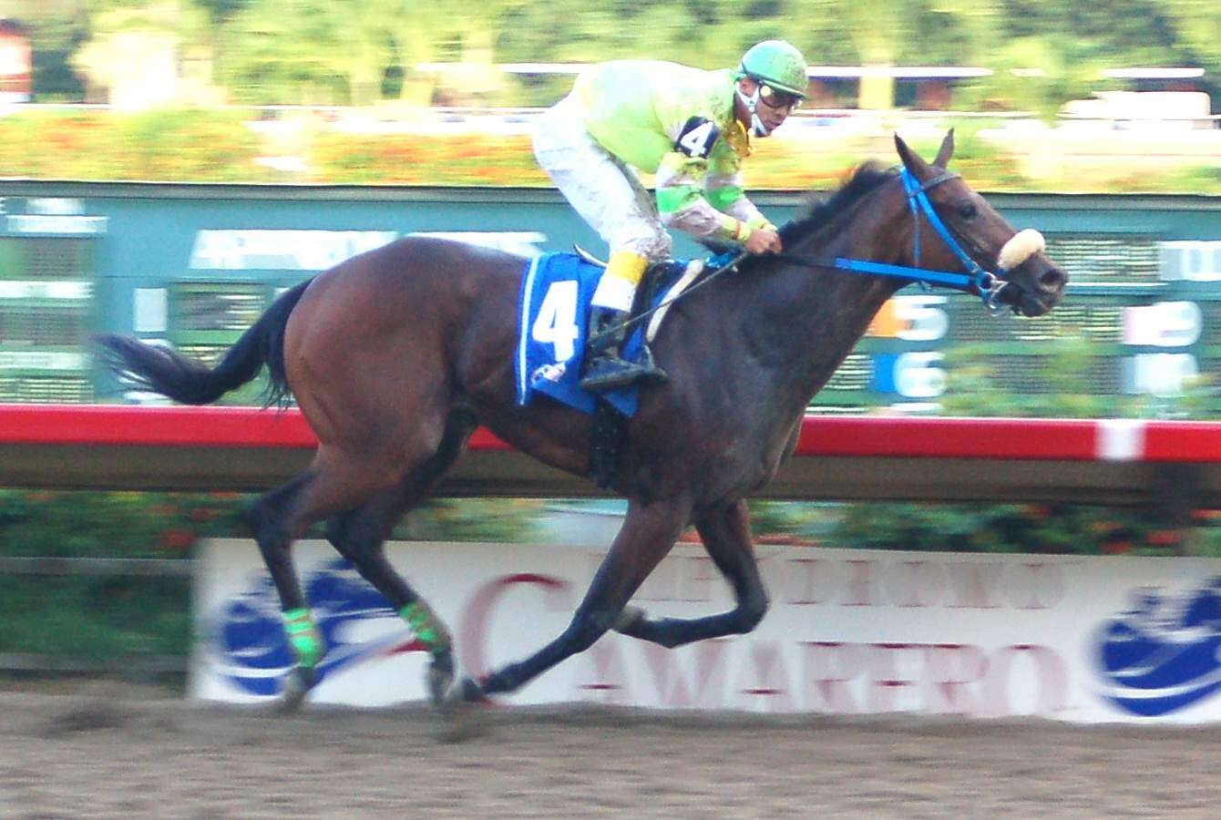 Orejitas hípicas domingo: 45vo. clásico Criadores