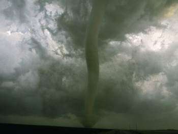 Tornado tumba árboles en Moca
