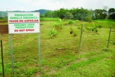 Marcha contra permuta Estación Agrícola UPR