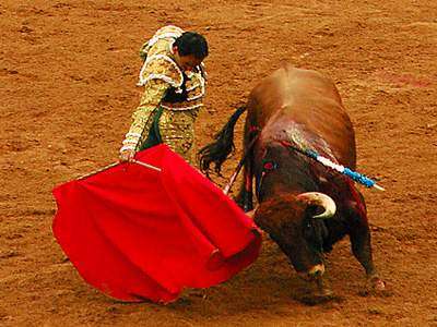 Hasta hoy las corridas de toros en Cataluña
