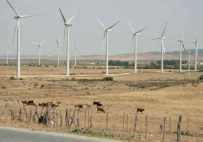 Aprueban ubicación de la  ‘Finca de Vientos’