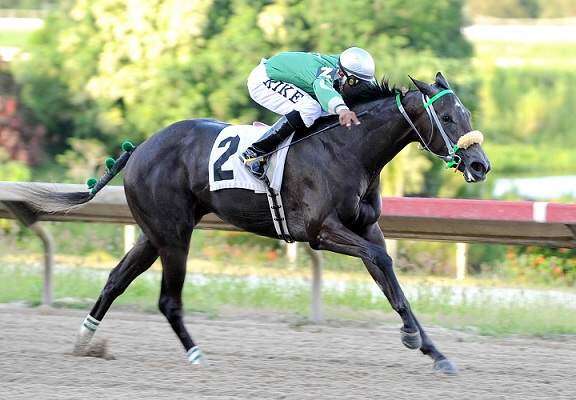 Orejitas hípicas para el miércoles