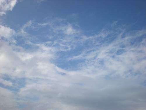 Parcialmente nublado y tormentas por la tarde