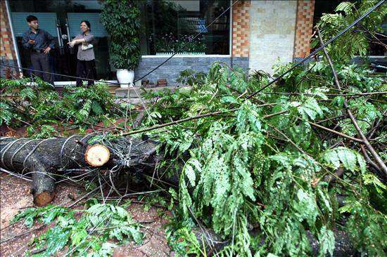Tormentas y tifón causan estragos en Vietnam