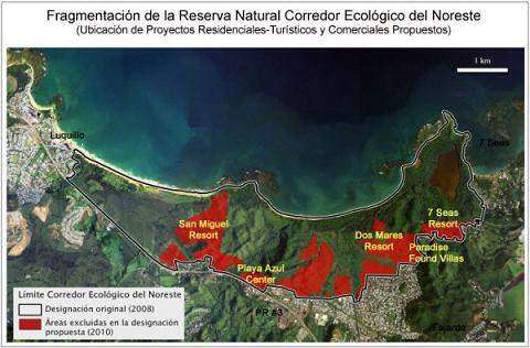Niños y jóvenes por el Corredor Ecológico del Noreste