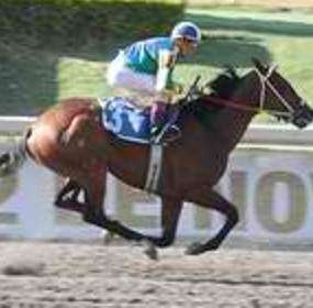 México bien representado en la competencia caribeña