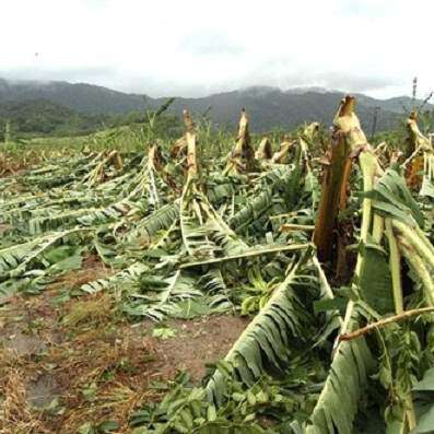 Concluye activa temporada de huracanes