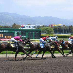Orejitas hípicas viernes: 37 caballos inscritos en el Pool