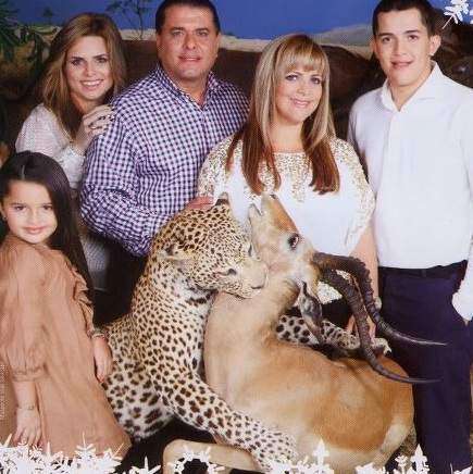 Miles llegan a ver al leopardo devorando al antílope