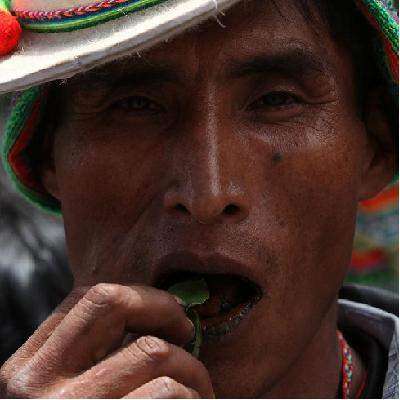Evo quiere respeto para el masticado de coca