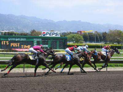 Orejitas hípicas del jueves: Pareja cartelera