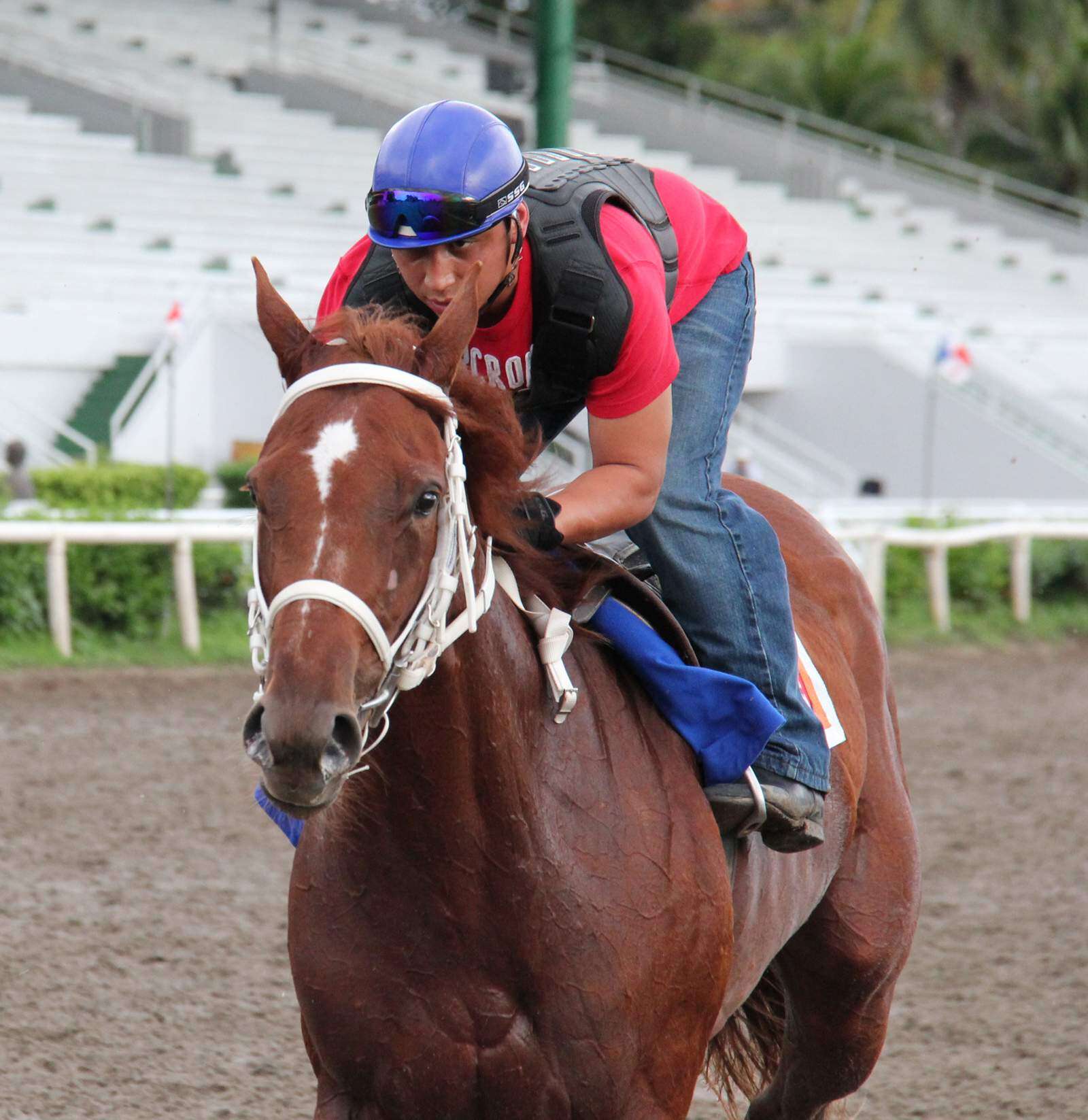 Orejitas hípicas sábado: Toño M. sobresale en la 6ta