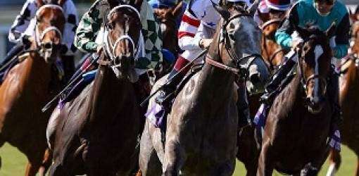 Orejitas hípicas: Otro programa típico