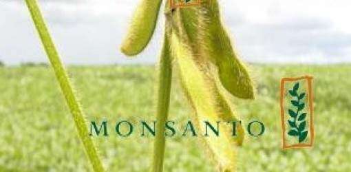 Denuncian a Monsanto en Argentina