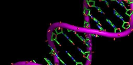 Máquina para decodificar ADN en 24 horas