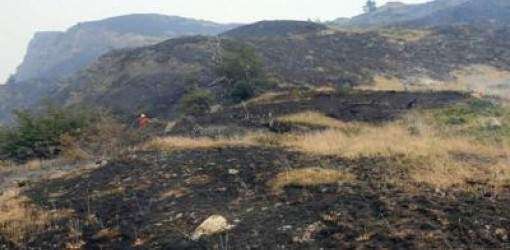 Chile: muerto y 8,000 hectáreas arrasadas en nuevo incendio