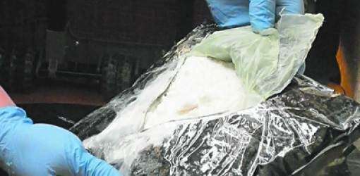 Federales incautan 245 kilogramos de coca