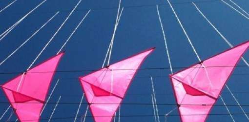 El ICP despierta su ‘Revuelo’