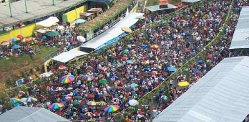 Vuelve el Festival del Acabe en Maricao