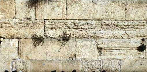 Venden cantos del Muro de las Lamentaciones en Ebay
