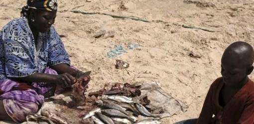 13,000 niños con malnutrición severa en Mauritania