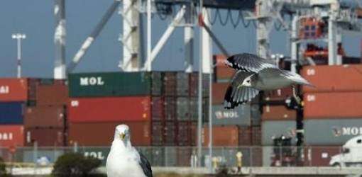 Mejora la economía de EEUU