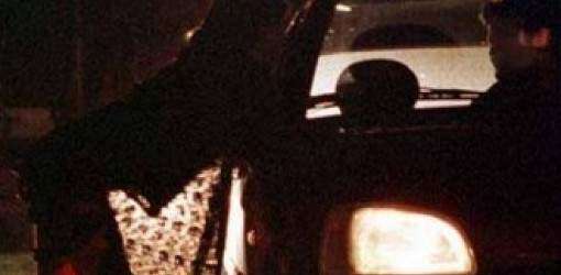 13 arrestados por prostitución en SJ