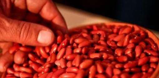 ¿De dónde salen las habichuelas?