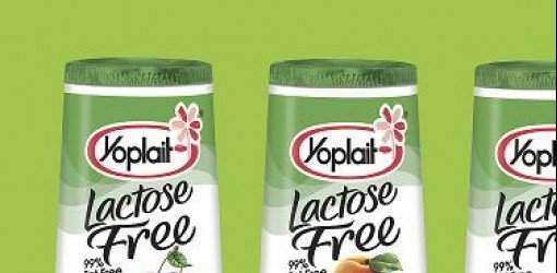 Nuevos yogur sin lactosa