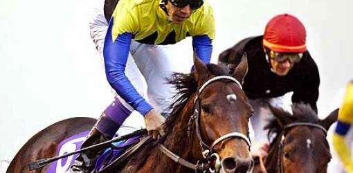 Orejitas hípicas del sábado: Al Máximo debe lograr la victoria